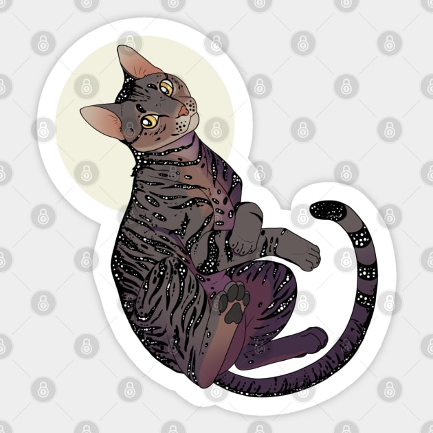 Pet Tabby Cat T-shirt Sticker by celestinaart